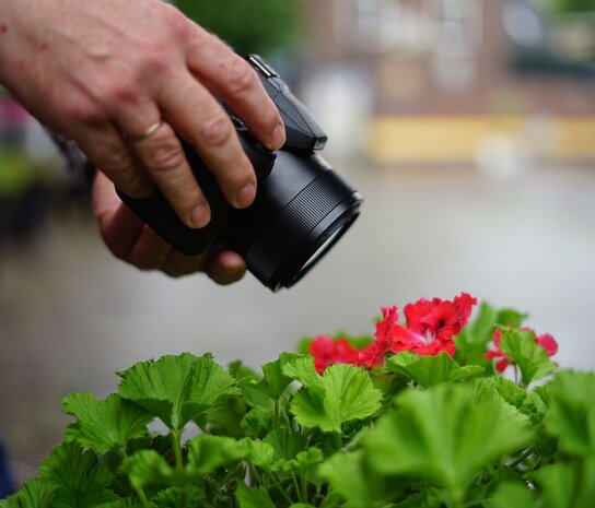 Workshop Macro Fotografie